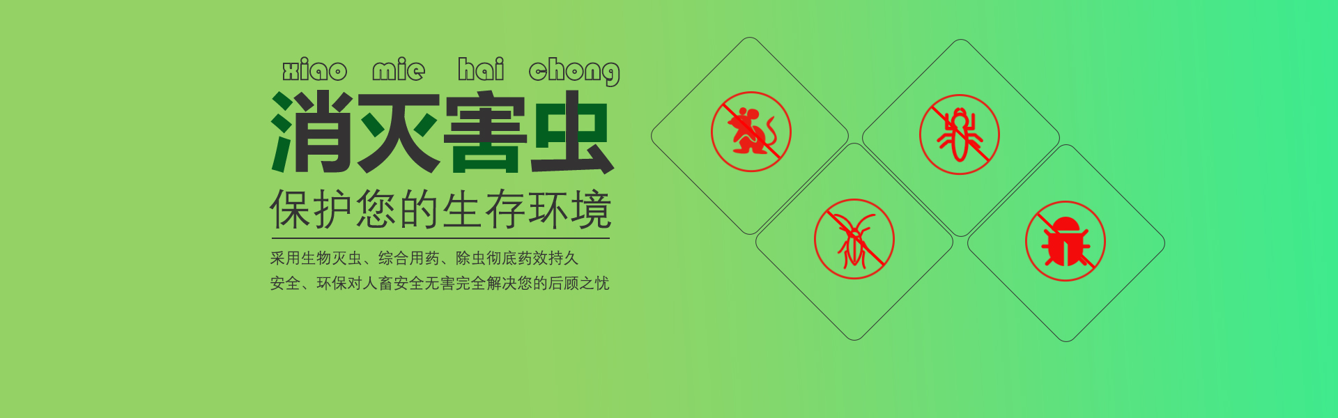 电脑幻灯片